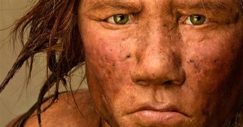 Neandertal a outra espécie humana que viveu há 500 mil anos