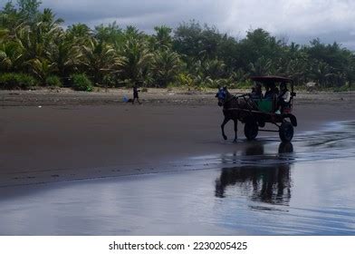 1,008 Cilacap Beach Images, Stock Photos & Vectors | Shutterstock