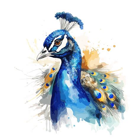 Premium Vector Colorful Peacock Illustration Isolated On A White