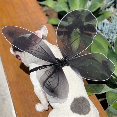 Butterfly Costume - Etsy