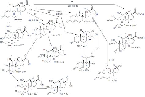 Proposed Prednisolone Photocatalytic Oxidation Reaction Pathway