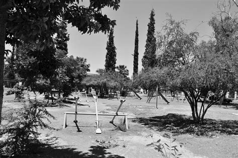 Reforestan el Parque Las Auras El Siglo de Torreón