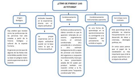 Psicologia Social Mapa Conceptual Actitudes Estructura Y Funciones