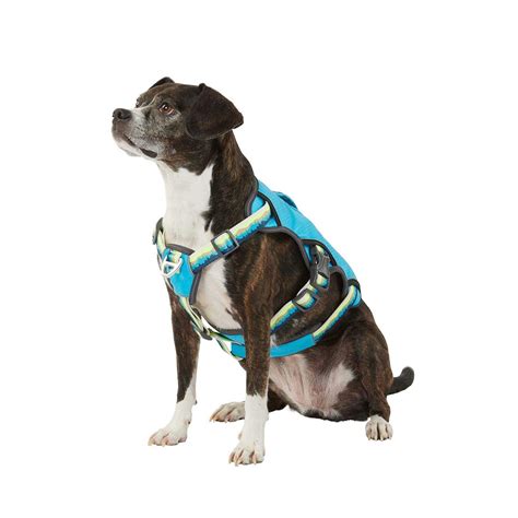 Arcadia Trail Led Ultimate Safety Dog Harness Pet Supplies Online Store