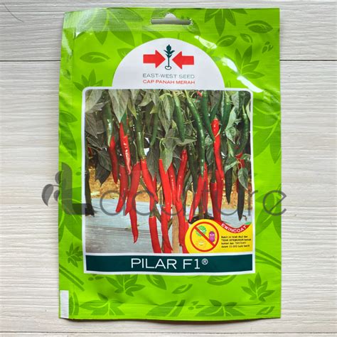 Jual Benih Cabe Cabai Besar Pilar F Isi Butir Cap Panah Merah