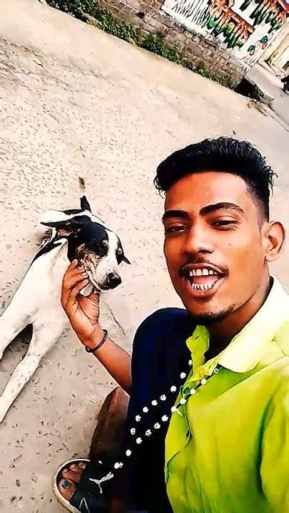 Dog Like Why 🤣🤣🤣🤣🙈🔥🔥🐶🐶🐶🐶 Youtube