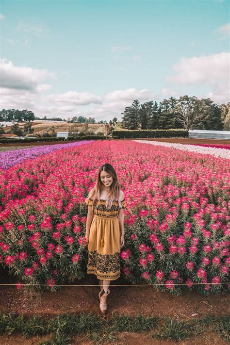 Kabloom - A festival for flower lovers - Connie and Luna | Flower lover, Tulip festival, Flower ...