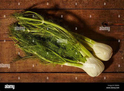 whole fresh fennel Stock Photo - Alamy