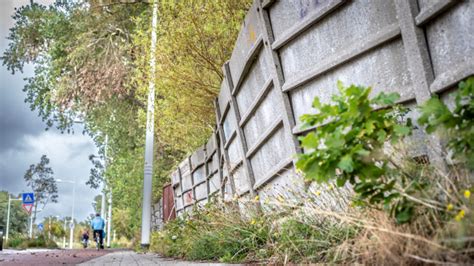 De Bekende Scheve Schutting Langs De Koedijkerstraat Is Buurtbewoners