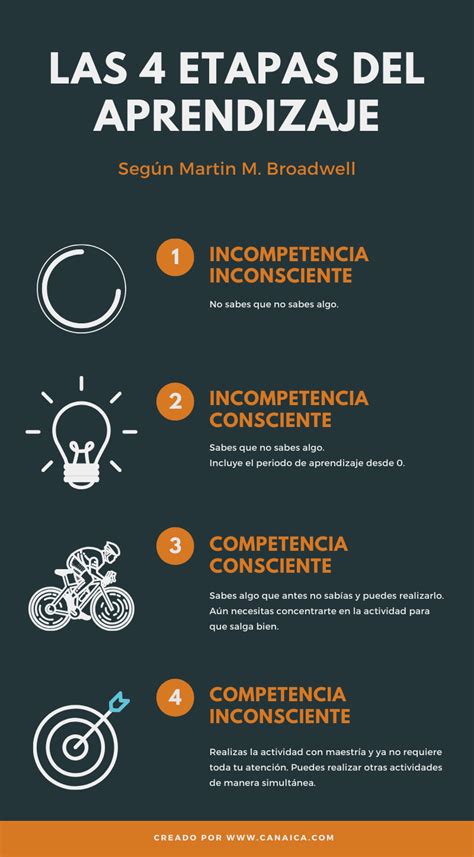 Las 4 Etapas Del Aprendizaje 2020