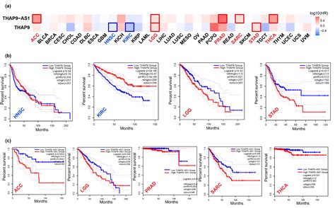 Ncrna Free Full Text Pan Cancer Analysis Reveals The Prognostic