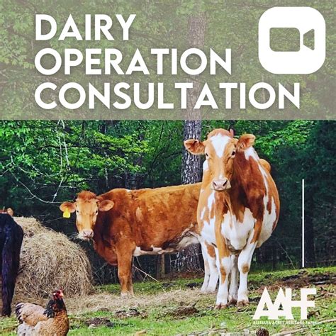 Dairy Operation Consultation Alleluia Acres Heritage Farm