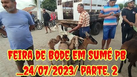 Feira de caprinos e ovinos Em Sumé PB 24 07 2023 parte 2 YouTube