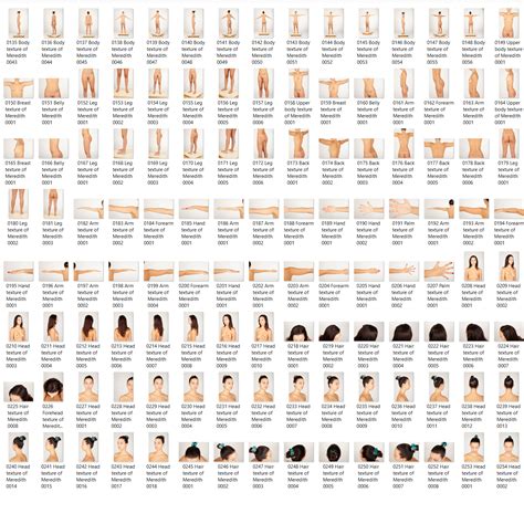 Meredith Nude Female Full Figure Photo References 2D Graphics Merchant