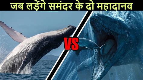 Mosasaurus Vs Blue Whale Quick Answer Barkmanoil