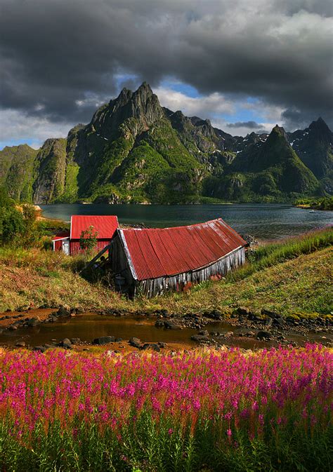 Summer Fjord, Svolvær, Norway photo on Sunsurfer