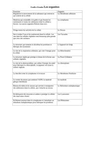 Les Organites Cellulaires Et Leurs Roles Pdf