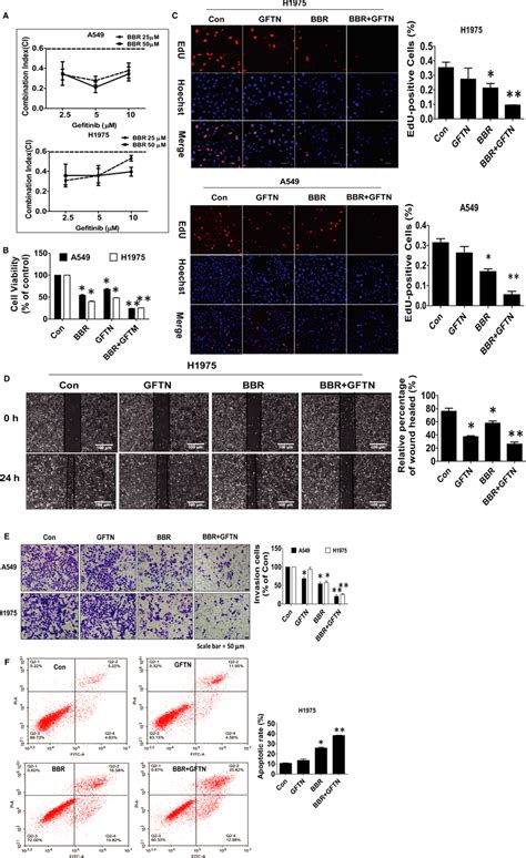 Combination Of Bbr And Gefitinib Enhanced The Inhibition Of Human Lung