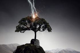 What Happens When Lightning Strikes A Tree Wonderopolis