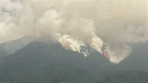 Selama Kemarau Ratusan Hektar Hutan Dan Lahan Di Pagaralam Terbakar