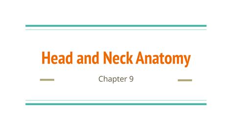 SOLUTION: Head and neck anatomy 1 - Studypool