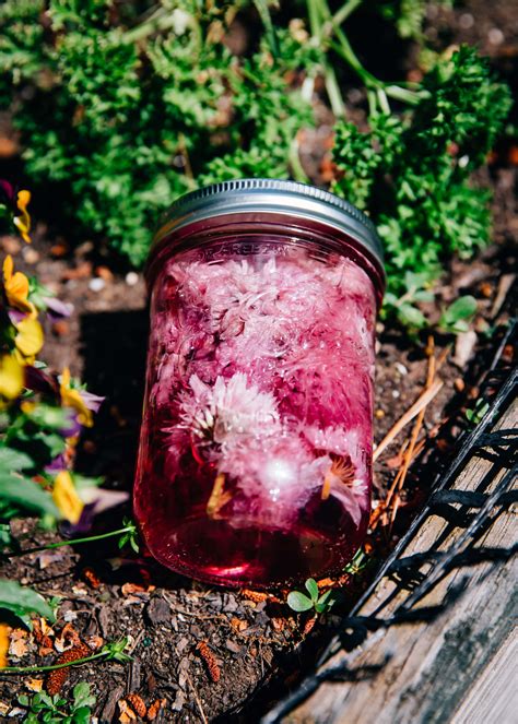 Chive Blossom Vinegar Well And Full