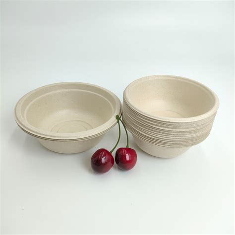 Fruit Container Biodegradable Disposable Sugarcane Bagasse Pulp