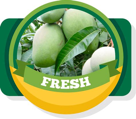 Download Aroma Of Our Fruit Fresh Green Mango Png Clipartkey