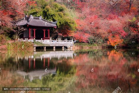 南京栖霞山秋色秋景红叶红枫历史古迹景区旅游景点摄影素材汇图网