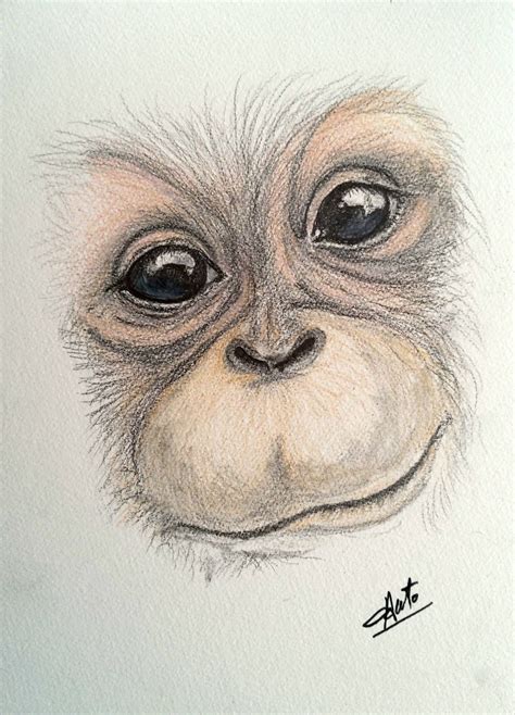 Pin by Elaine Gosselin on Drawing | Animal sketches, Sketches, Animals