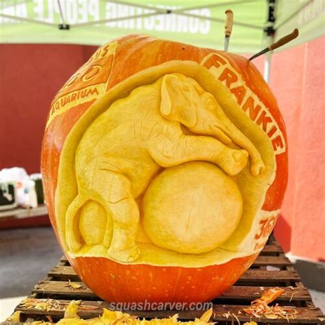 Giant Pumpkin Carving Columbus Ohio — Squashcarver Llc