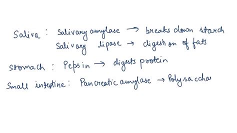 Solved Given What You Know About The Structure Of Biofilms What Types