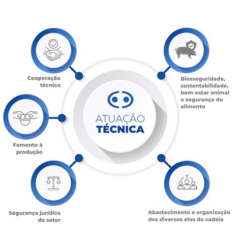 Áreas de atuação ABCS