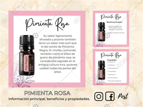 Pimienta Rosa Ig Fb Post En Espa Ol By Nicole Olivares