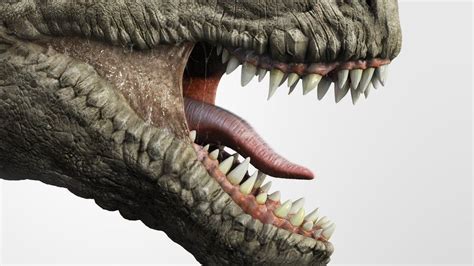 Dinosaurs Mystery Of T Rex Jaw Revealed Bbc Newsround