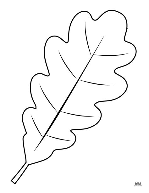 55 Free Leaf Outlines Templates And Coloring Pages Printabulls