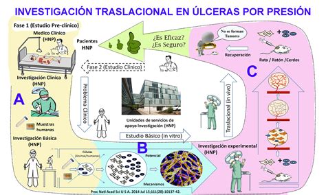 Investigaci N Traslacional En Lceras Por Presi N Infom Dulainfom Dula