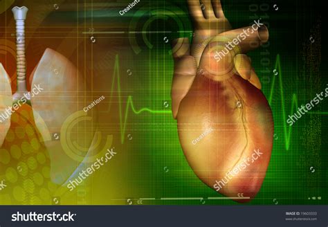 Digital Illustration Heart Eco Cardio Gram Stock Illustration