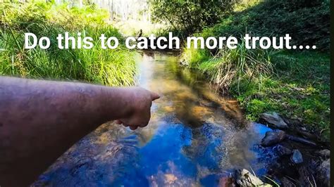 Trout Fishing Tips How To Catch More Trout Youtube