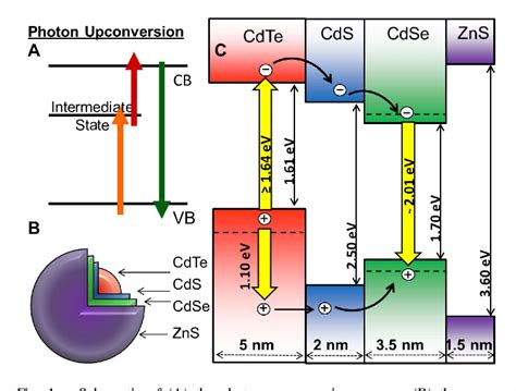 Figure From Design Synthesis And Photophysical Properties Of Inp Cds