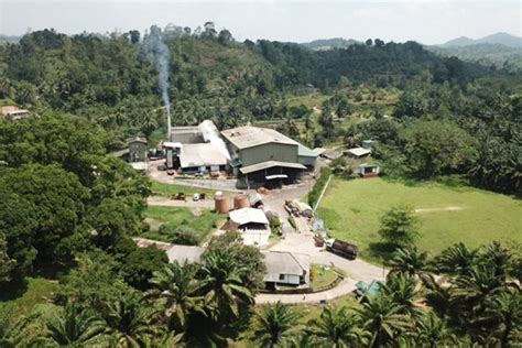 Palm Oil Mill Watawala Plantations PLC