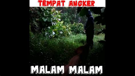 Menelusuri Tempat Angker Malam Sampai Pagi Di Hutan Kalimantan Menajur