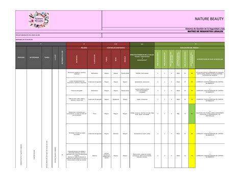 Matriz De Identificacion Peligros Evaluacion Y Valoracion Riesgos