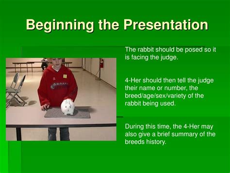 Ppt Basic 4 H Rabbit Showmanship Powerpoint Presentation Free