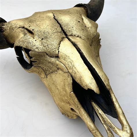 Bison Skull - Gilded Head – Farmhaus + Co