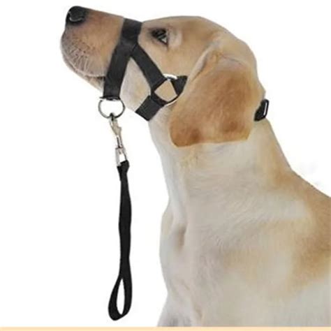 Pet Dog Head Collar Gentle Halter Leash Leader for Training Dogs Collar Dog Mouth Cover-in ...