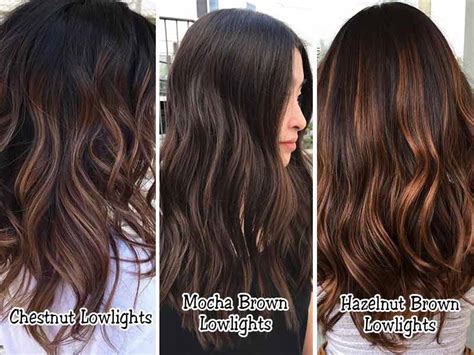 Get The Ultimate Fall Look Light Brown Hair With Chocolate Lowlights