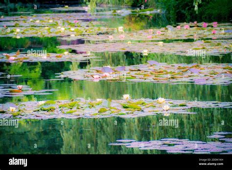 Les Jardins de Monet à Giverny jardin de Monet Maison et jardins de