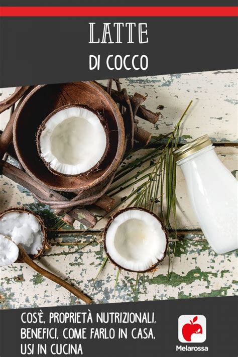 Latte Di Cocco Propriet Benefici E Come Farlo In Casa