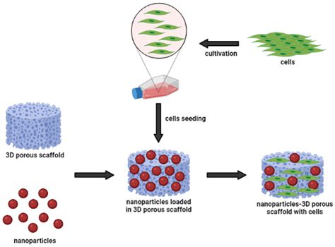 Polymers Free Full Text The Effect Of Nanoparticle Incorporated